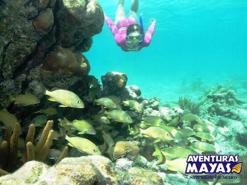 ATVs Xtreme Snorkel · fotos de la actividad 3