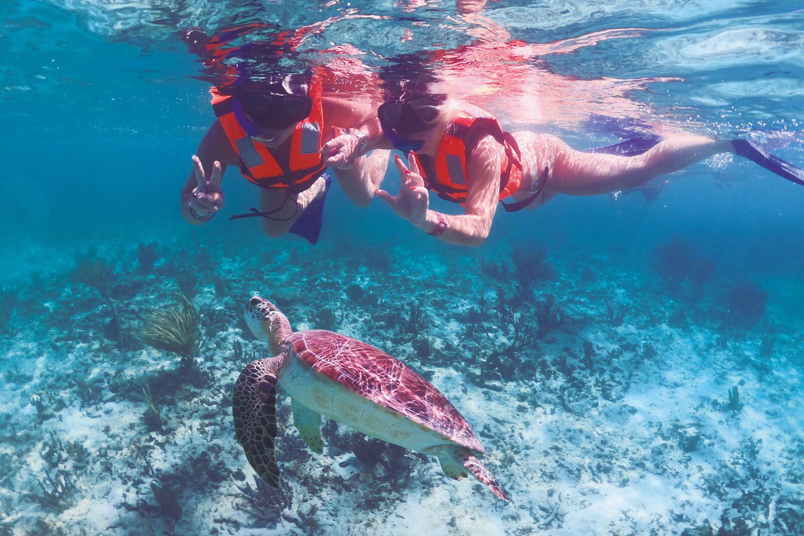 Underwater World 3