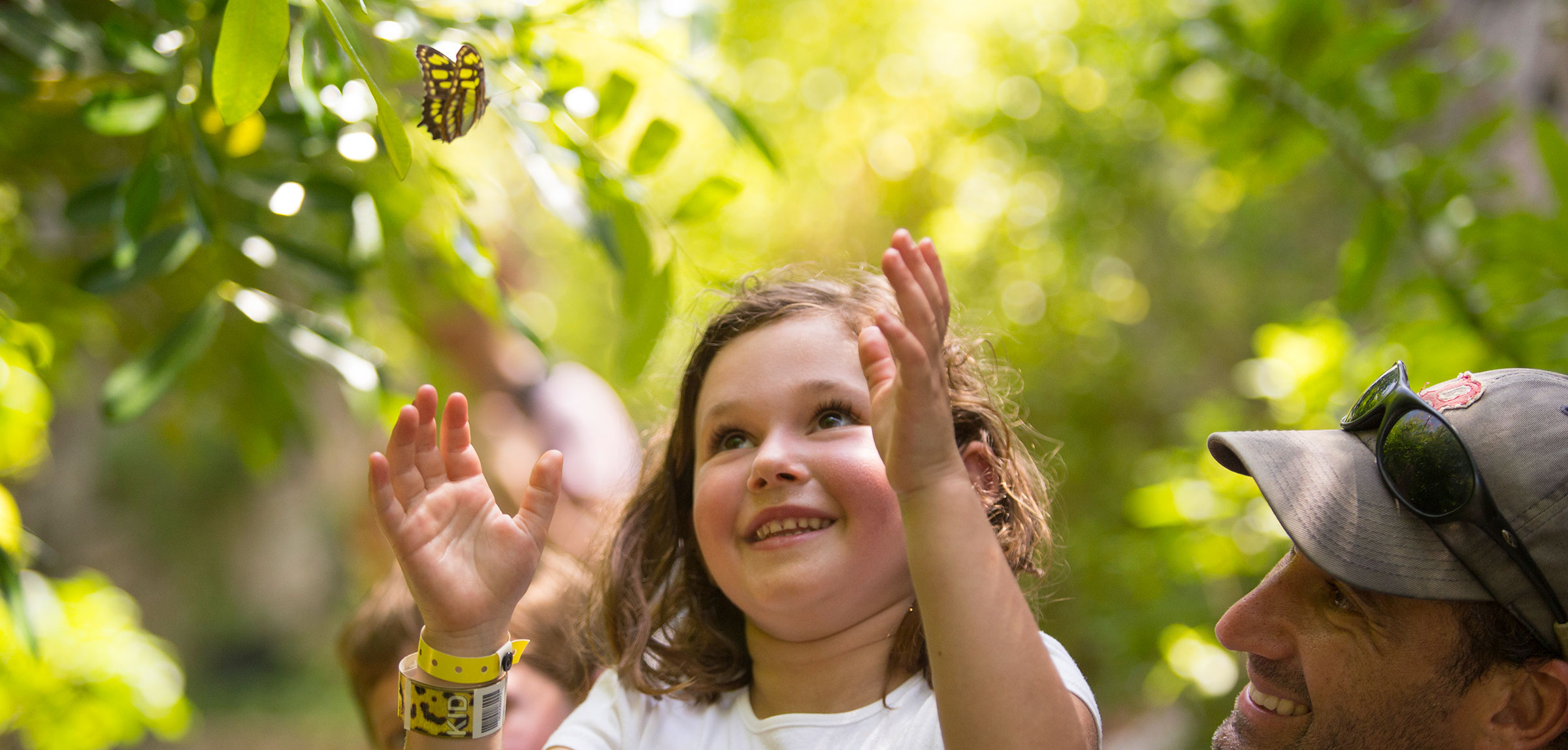 Xcaret · actividades del parque 3