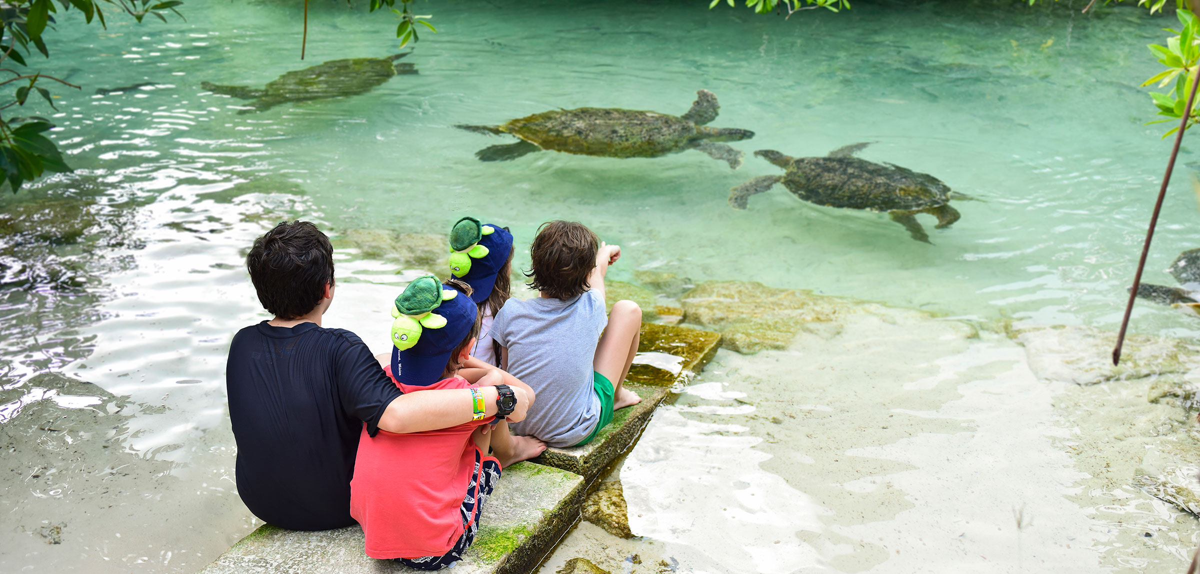 Xcaret · actividades del parque 5